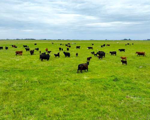 Pcia. de Santa FE - Wheelwright 511 Has