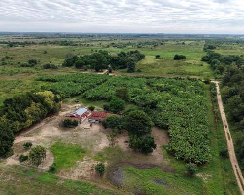 Palma Sola, Pilcomayo, Formosa - 153 Ha