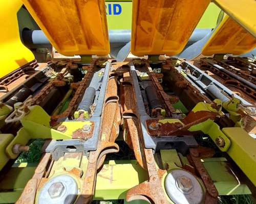 Allochis Trailer, de 14 a 52