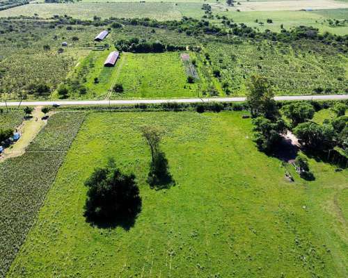 Vendo Campo de 3 Hectáreas en San Justo, Entre Ríos.