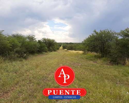 En Venta 750 HA. Chamaicó, la Pampa
