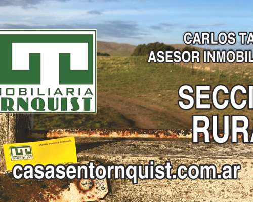 Campo en Venta – 734 Has Berraondo (villarino)