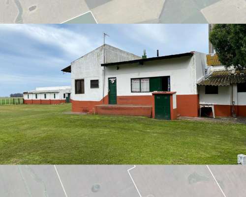 Vendo Campo Agrícola-papero 540ha Sobre Asfalto, Miramar