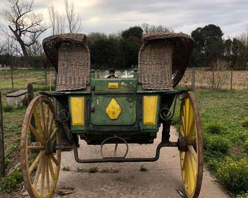 Carro Caballo Sulky Canastita