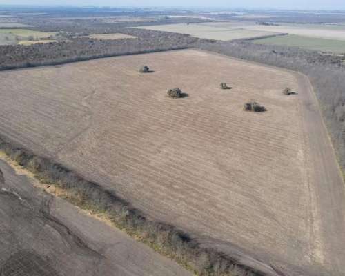 Campo Agrícola en Rocamora de 59 Hectáreas.