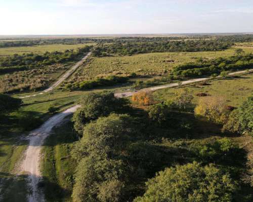 Alejandra - 1200 Has Estancia Ganadera - Altas-ruta 1