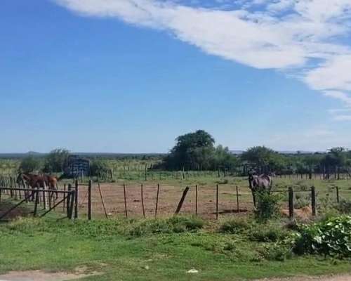 Ezn Venta Campo Ganadero 700