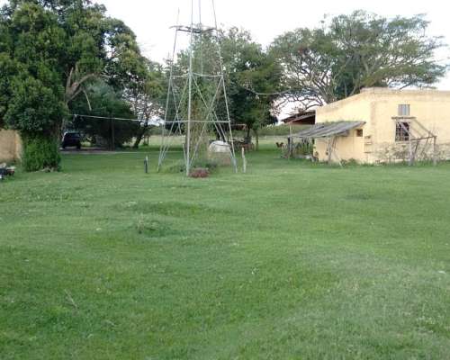 Arriendo 135 Has de Monte Natural Sobre Asfalto