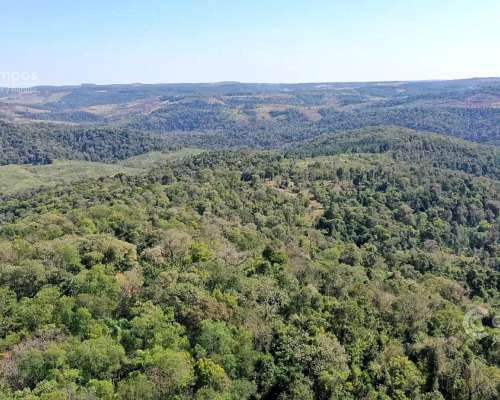 Se Vende Campo 740 Ha Ganadero-forestal en San Vicente, Misi