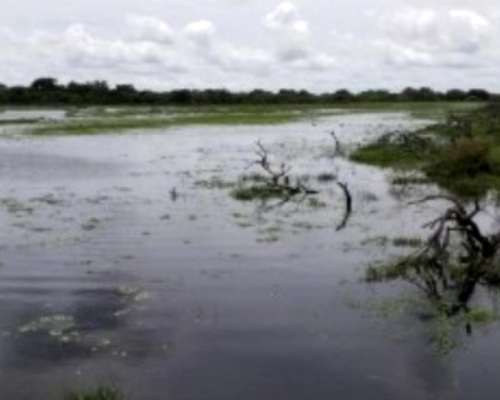 Estancia de 24600 Hectáreas