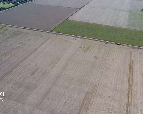 25 Has Agricolas en Humboldt. Suelo Clase 1 - IP 79%.