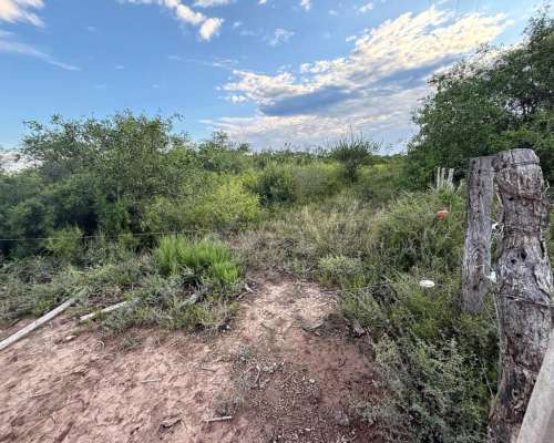 Remax Vende Campo Ganadero Sobre Ruta 34 Mailin