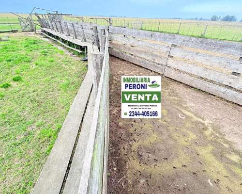 Campo Gandero Cria 765 Has. en Centro de Pcia. de BS AS.