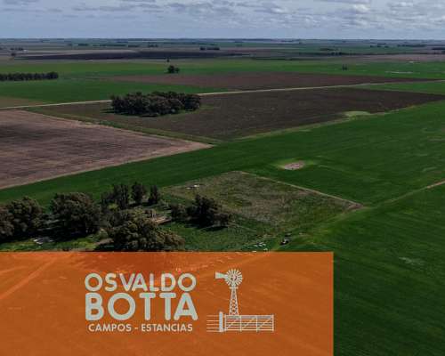 Campo 100% Agricola Sobre Ruta a 10km de Tres Arroyos