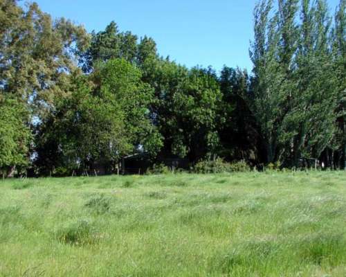 Ba3102 Venta Ganadero 220 Has Bragado, Buenos Aires