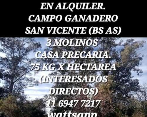 Alquiler Campo San Vicente