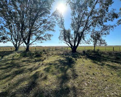 302 Has. Bahia Blanca con Arroyo