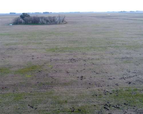 Campo en Venta en 25 de Mayo