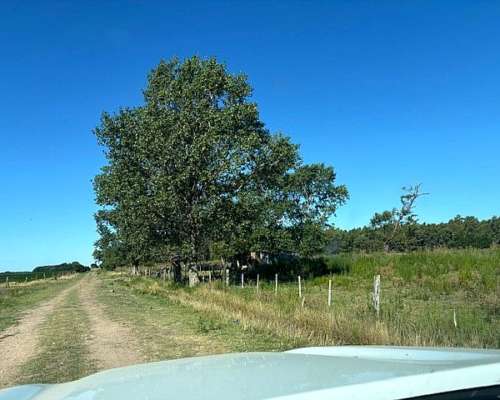 Campo en Venta San Pedro Buenos Aires