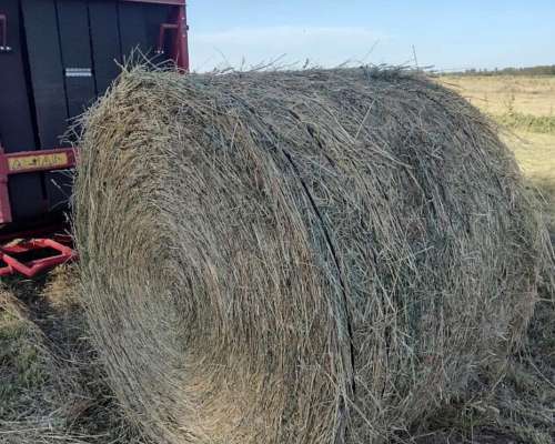 Vendo Campo Bajo Riego la Pampa Vaca Muerta