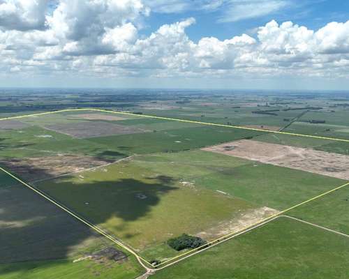 1380 Has. Campo Mixto Sobre Ruta