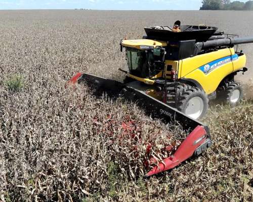 Cabezal Maicero cm 2020 de 18 Surc a 52 con Embocador, con