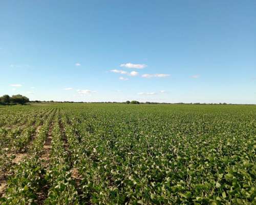 87 Ha en Venta en Capilla de Siton