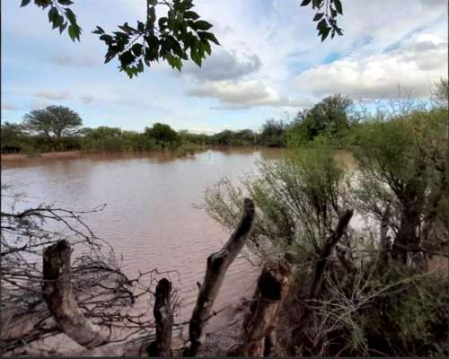 1110 Has en las Catitas, Mendoza