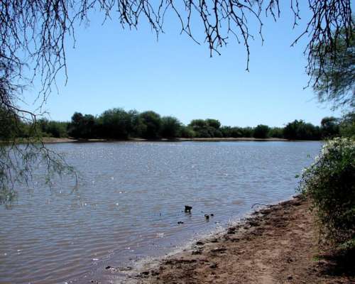Campo Ganadero Estancia la Esperanza