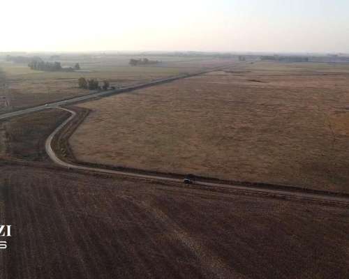 40 Has en San Genaro Sobre Ruta