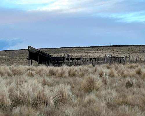 Venta Campo Ganaderas en la Carolina San Luis Paraíso