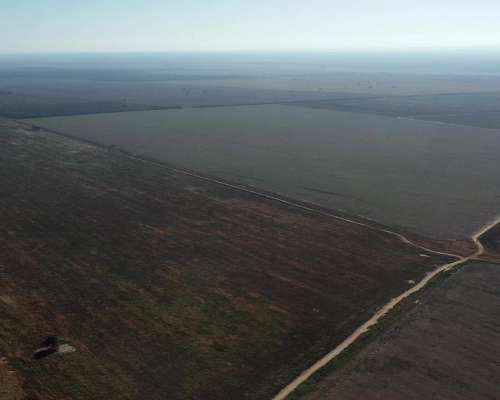 Santiago del Estero Lavalle 1200 Has Agricolas