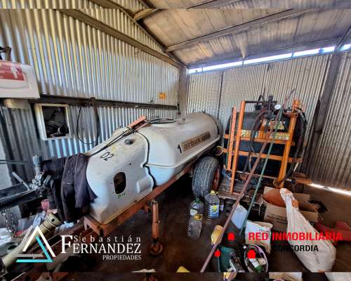 27 Has, con Mejoras y Forestación