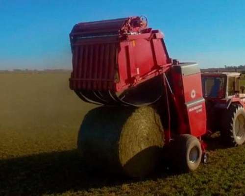 Rotoenfardadora Mainero 5887