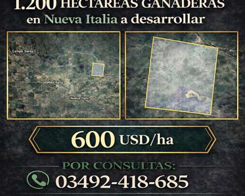 1200 Has Ganaderas a Desarrollar en Nueva Italia