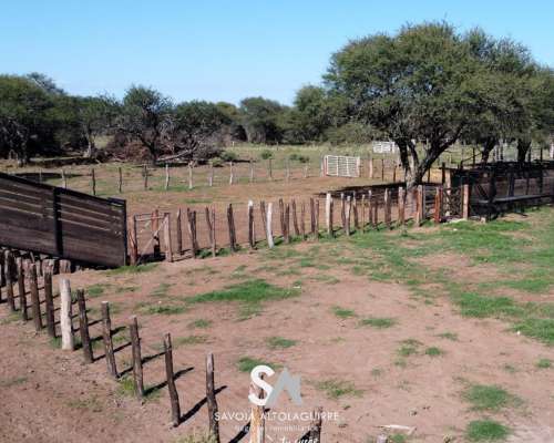 Vende: Campo Ganadero de 1.238 Hectáreas en Loventuel, la PA