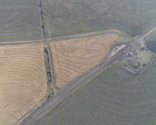 1.239 Has - en Venta - Federal - Entre Ríos