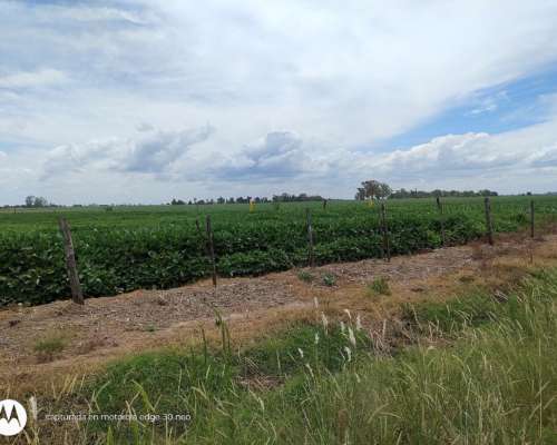 60 Agricolas Sobre Autopista Rosario