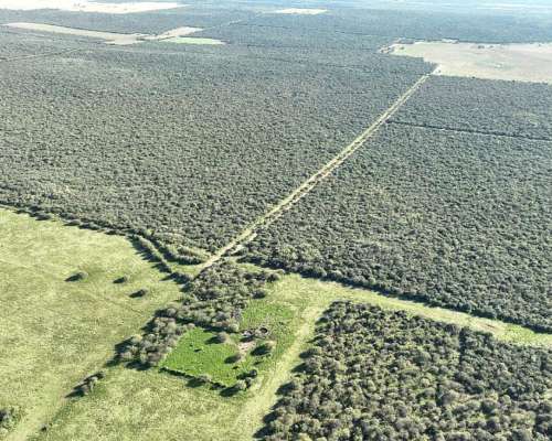 3780 Has. Campo Mixto S/ Ruta en Alpachiri, la Pampa