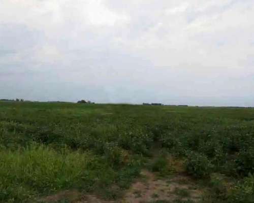 Campo Sobre Ruta en Saladillo