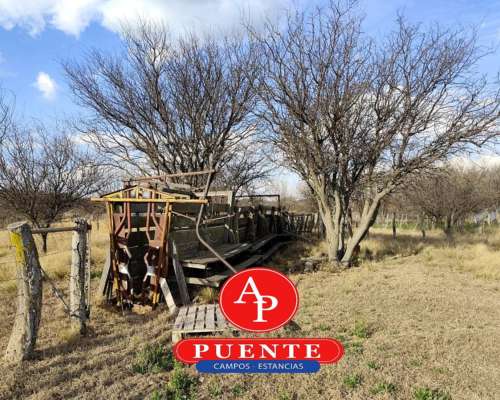 En Venta 1250 HA. en Luan Toro, la Pampa