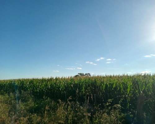 Venta 29,5 Ha Agrícolas en Capilla de Sitón