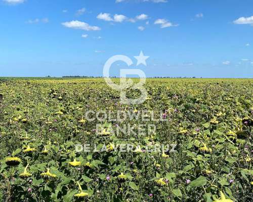 Campo Ganadero 1000 Has., Piamonte, Santa FE