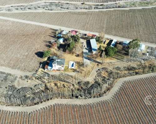 Se Vende Finca en Valle de UCO Mendoza. 300 Ha de Viñedo en
