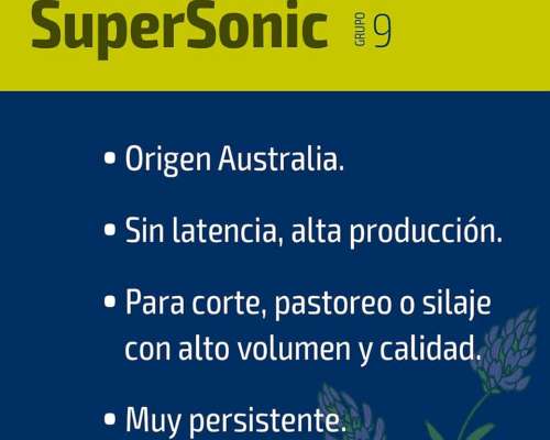 Alfalfa Biscayart Supersonic G9