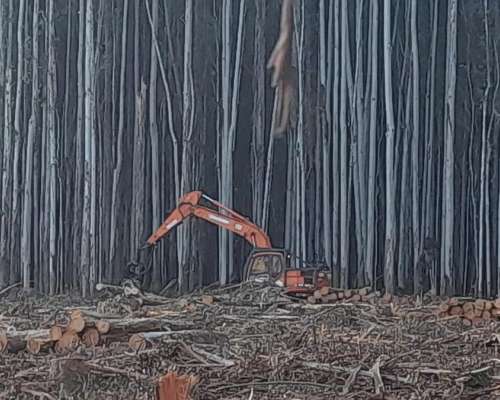 Vendo Procesador Forestal Ponsse H7 con Excavadora DOSSAN180