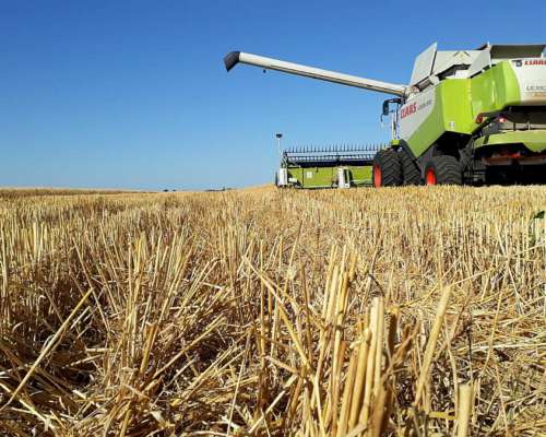 Claas Lexion 570 Draper de 35 Pies