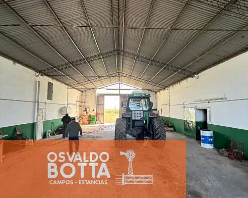Campo Mixto en Venta, 800has en Coronel Dorrego, BS AS