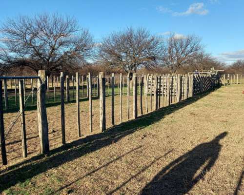 1.140 Ha Excelente Campo de Monte en San German, Puan