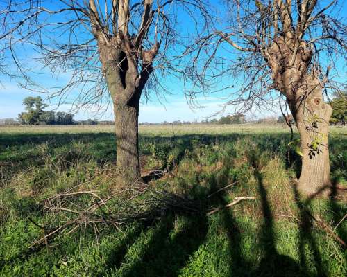 En Venta Chacra de 9 Has con Casa de Campo Tradicional